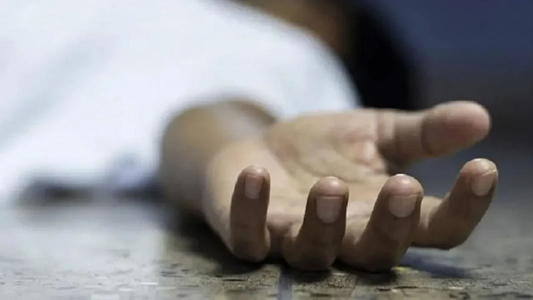 image_236058_1761716309