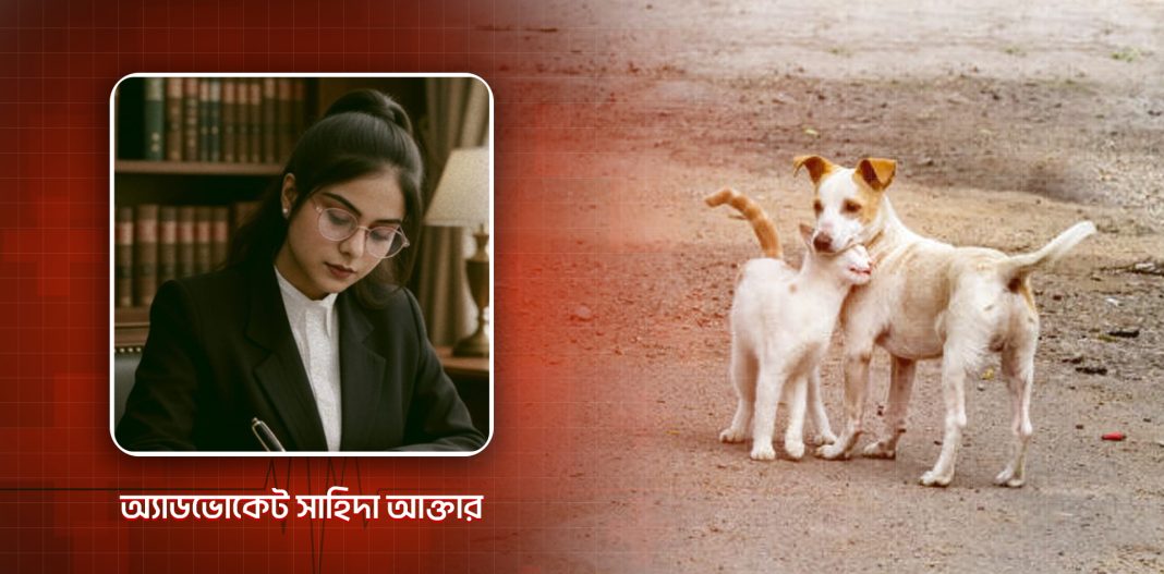 অ্যাডভোকেট, জেলা ও দায়রা জজ আদালত