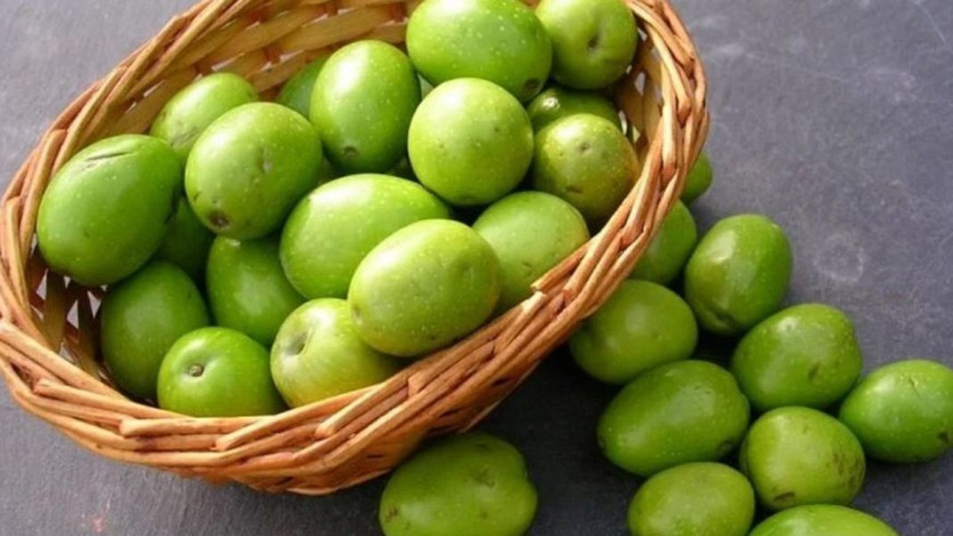 জলপাই একটি পুষ্টিকর ফল যার বিভিন্ন স্বাস্থ্য উপকারিতা রয়েছে। ছবি: সংগৃহীত