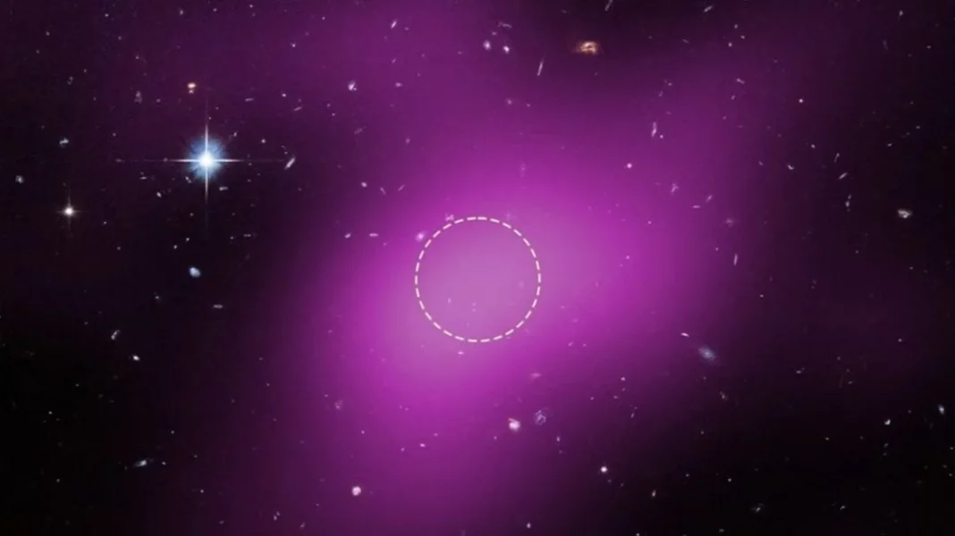 ছবি: লাইভ