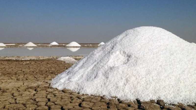 ১ লাখ টন লবণ আমদানির অনুমতি পেলো ২৪৭ প্রতিষ্ঠান। ছবি: সংগৃহীত
