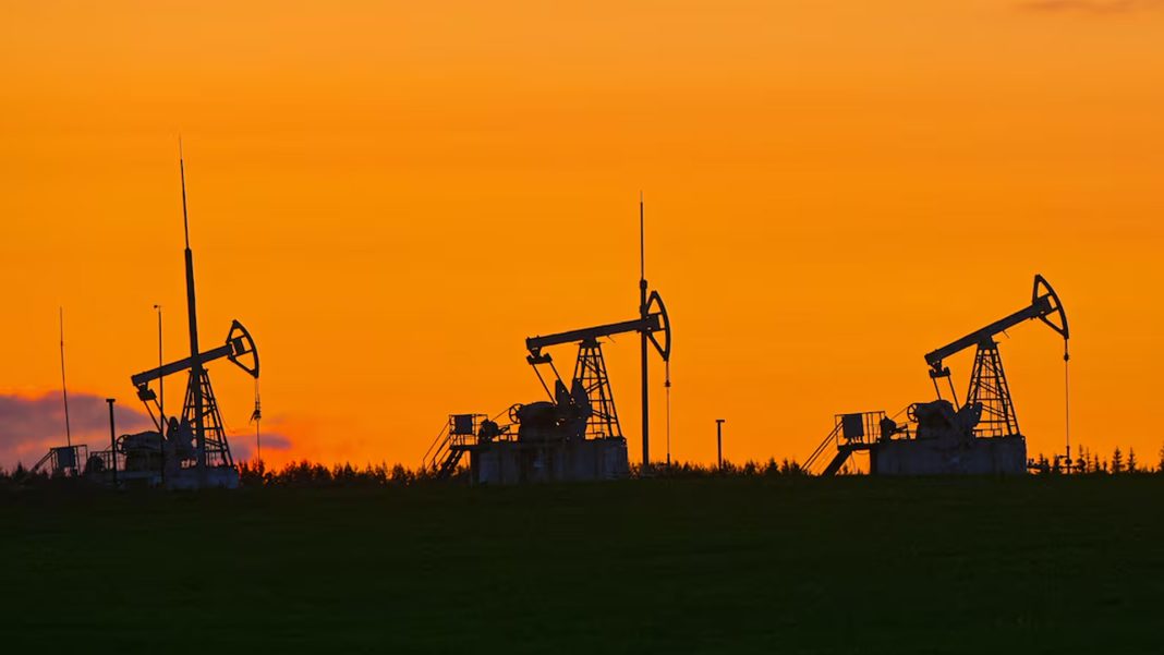 ছবি: রয়টার্স